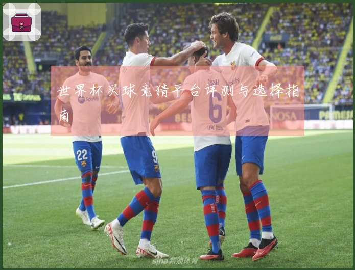 世界杯买球竞猜平台评测与选择指南