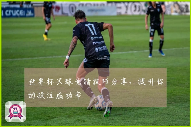世界杯买球竞猜技巧分享，提升你的投注成功率