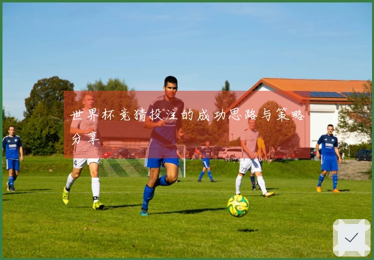 世界杯竞猜投注的成功思路与策略分享