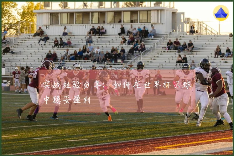 实战经验分享：如何在世界杯买球中稳妥盈利