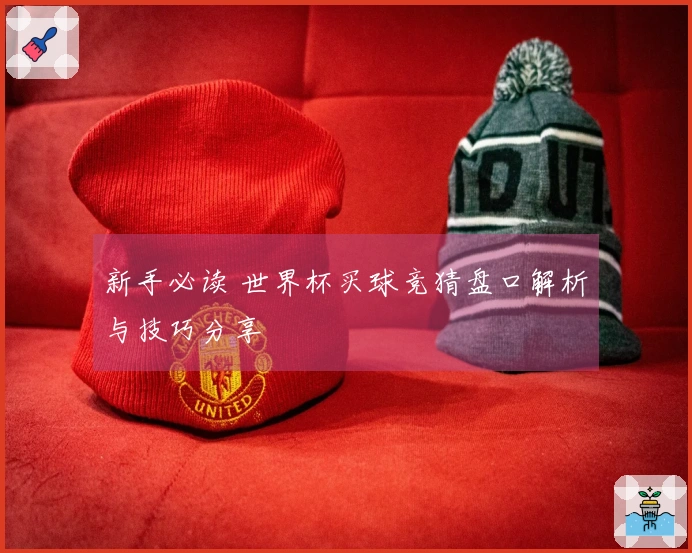 新手必读 世界杯买球竞猜盘口解析与技巧分享