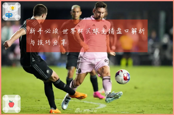 新手必读 世界杯买球竞猜盘口解析与技巧分享