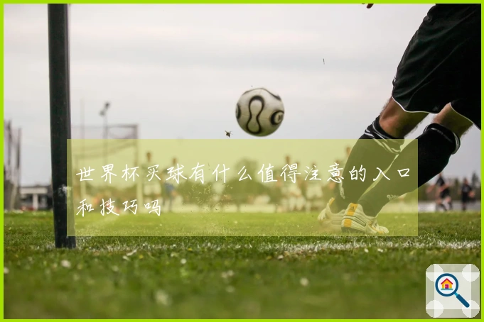 世界杯买球有什么值得注意的入口和技巧吗