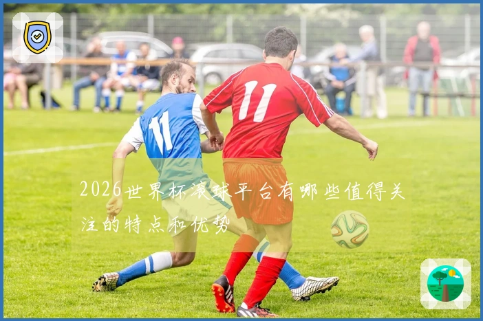 2026世界杯滚球平台有哪些值得关注的特点和优势