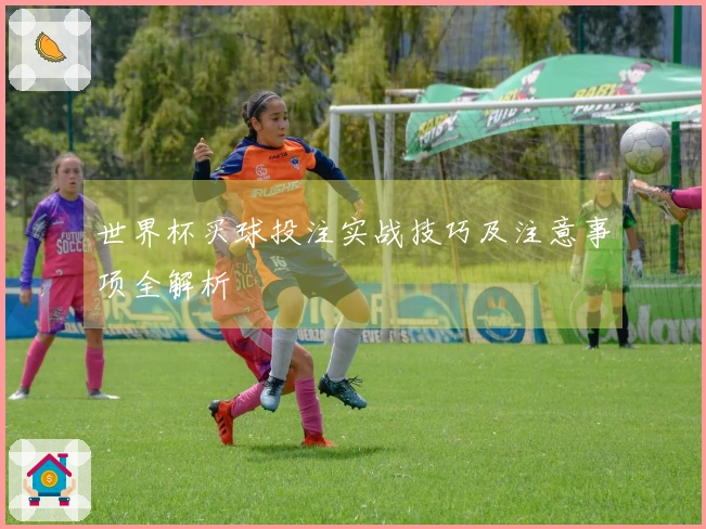 世界杯买球投注实战技巧及注意事项全解析
