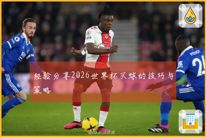 经验分享2026世界杯买球的技巧与策略